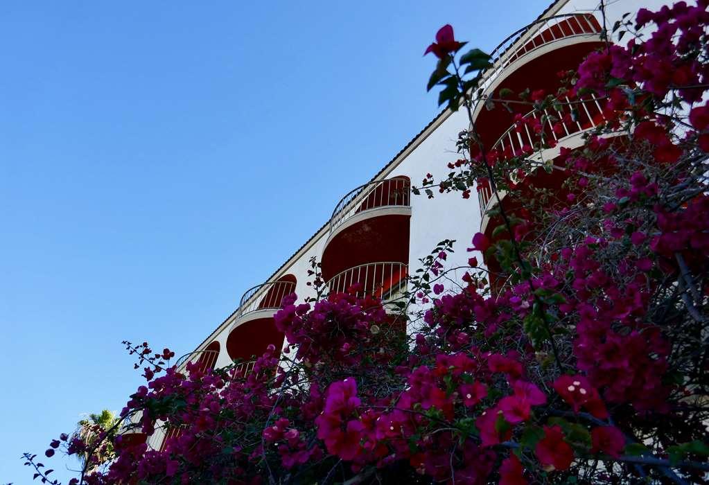 Golden Sails Hotel Long Beach Konforlar fotoğraf